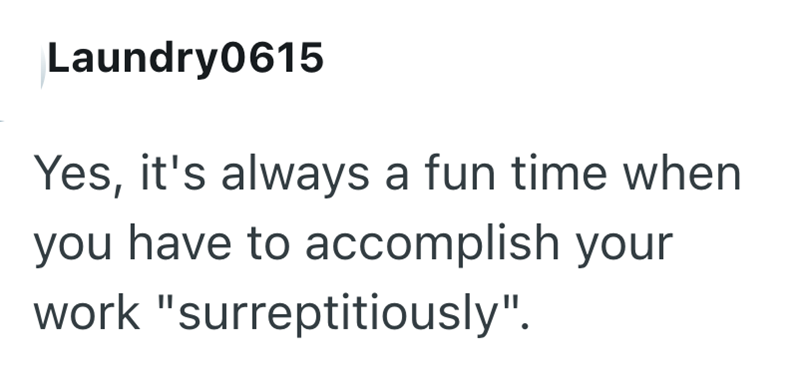 Laundry0615 Yes, it's always a fun time when you have to accomplish your work "surreptitiously".