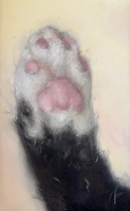 Cheezburger Image 10624081152