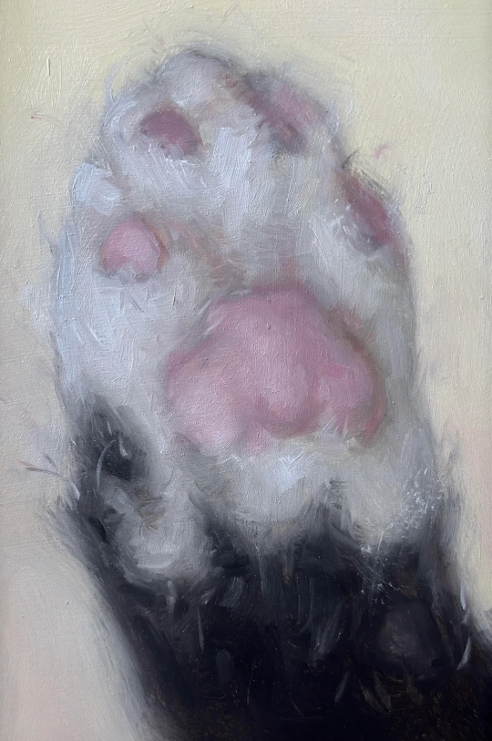 Cheezburger Image 10624081408