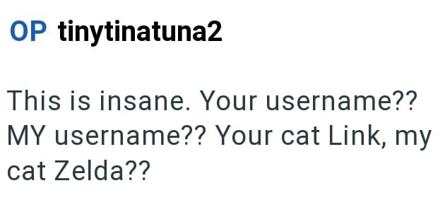 OP tinytinatuna2 This is insane. Your username?? MY username?? Your cat Link, my cat Zelda??
