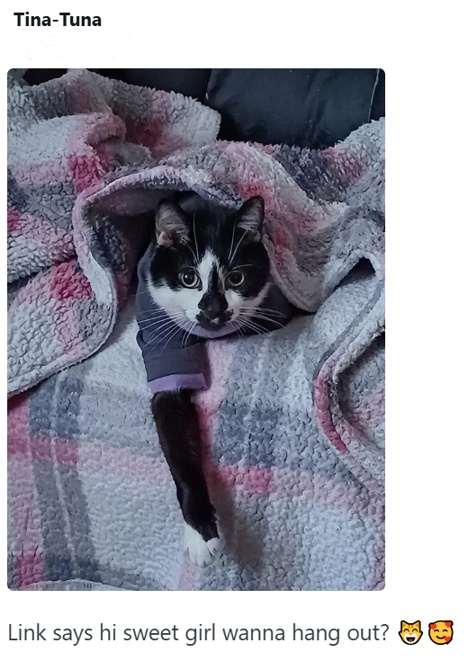 Tina-Tuna Link says hi sweet girl wanna hang out?