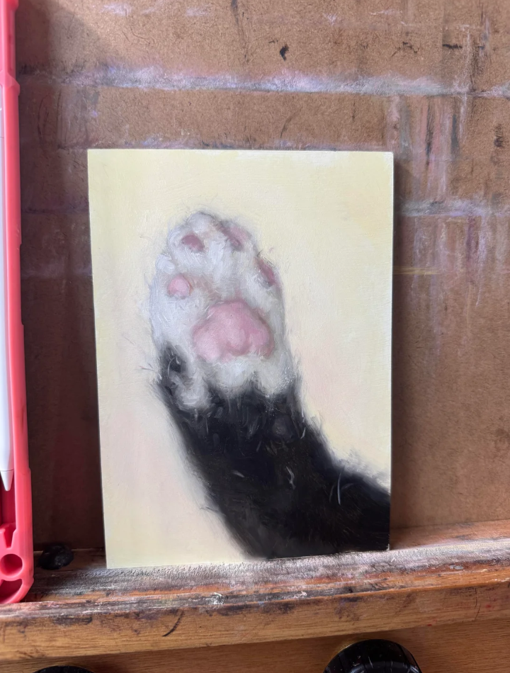 Cheezburger Image 10624083712