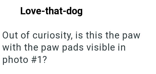 Love-that-dog Out of curiosity, is this the paw with the paw pads visible in photo #1?