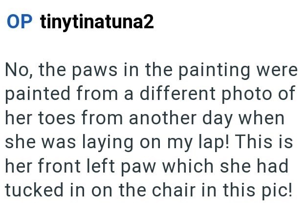 OP tinytinatuna2 No, the paws in the painting were painted from a different photo of her toes from another day when she was laying on my lap! This is her front left paw which she had tucked in on the chair in this pic!