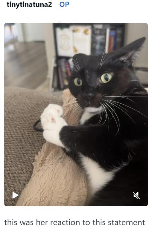 tinytinatuna2 OP this was her reaction to this statement