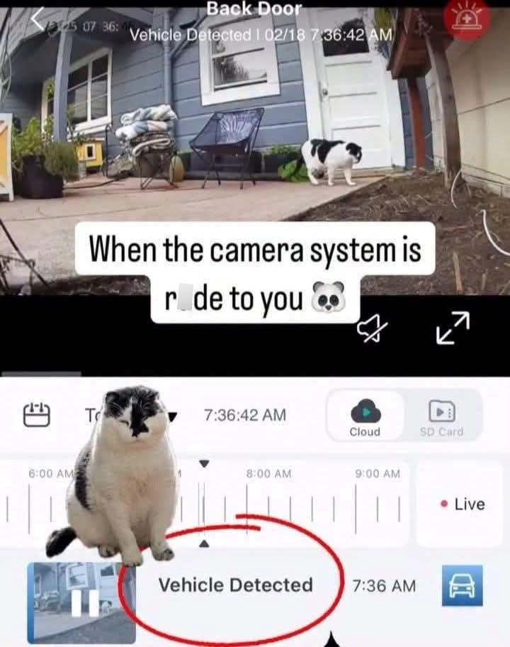 Back Door 507 36: Vehicle Detected 102/18 7:36:42 AM When the camera system is rode to you لا 7 凹 To 7:36:42 AM Cloud SD Card 6:00 AM 8:00 AM 9:00 AM ⚫ Live Vehicle Detected 7:36 AM D