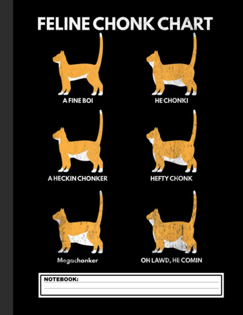 FELINE CHONK CHART H A FINE BOI HE CHONKI A HECKIN CHONKER HEFTY CHONK Megachonker OH LAWD, HE COMIN NOTEBOOK: