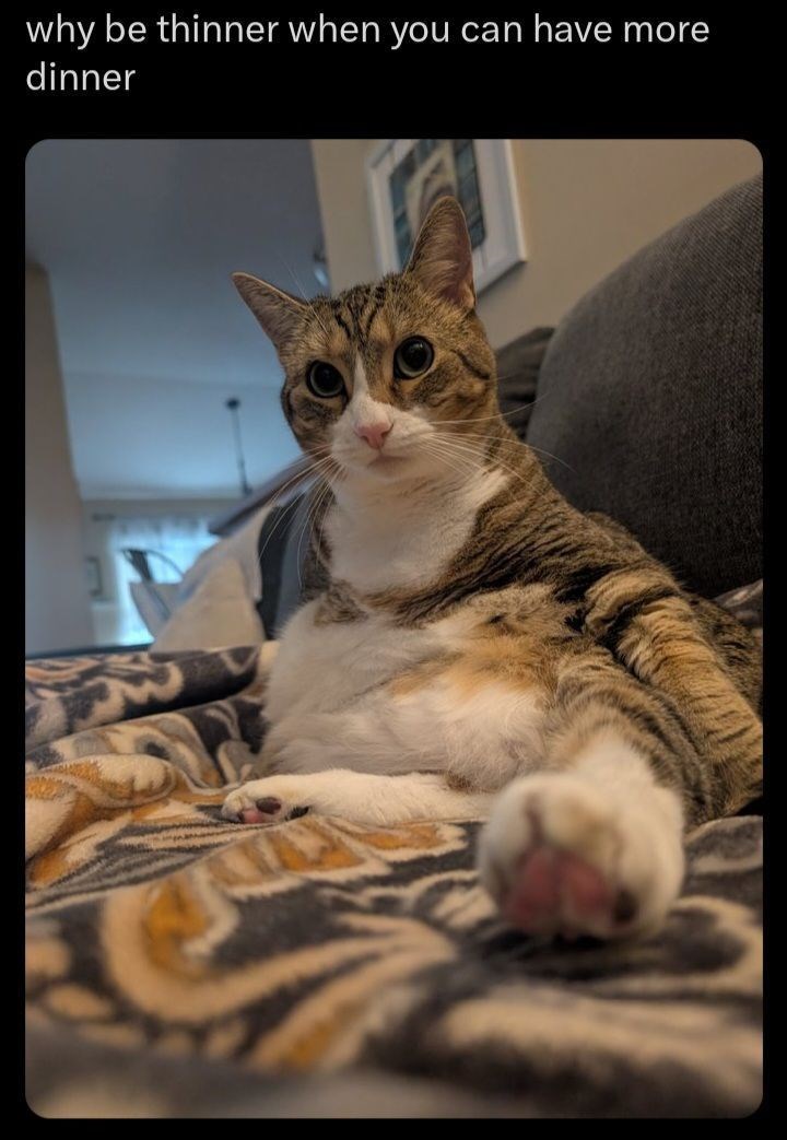 why be thinner when you can have more dinner