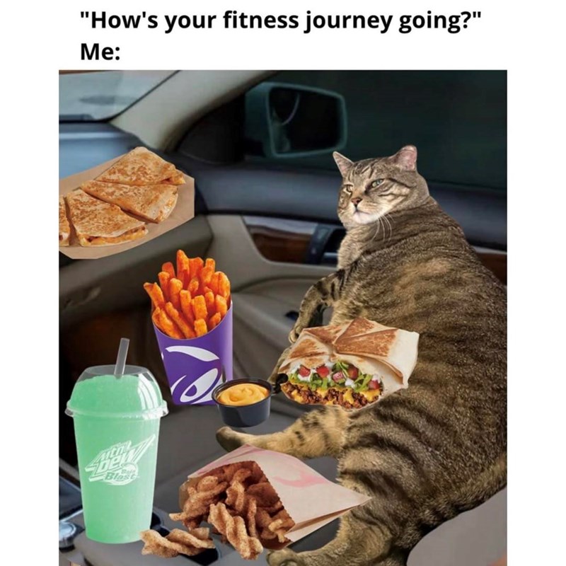"How's your fitness journey going?" Me: Blast