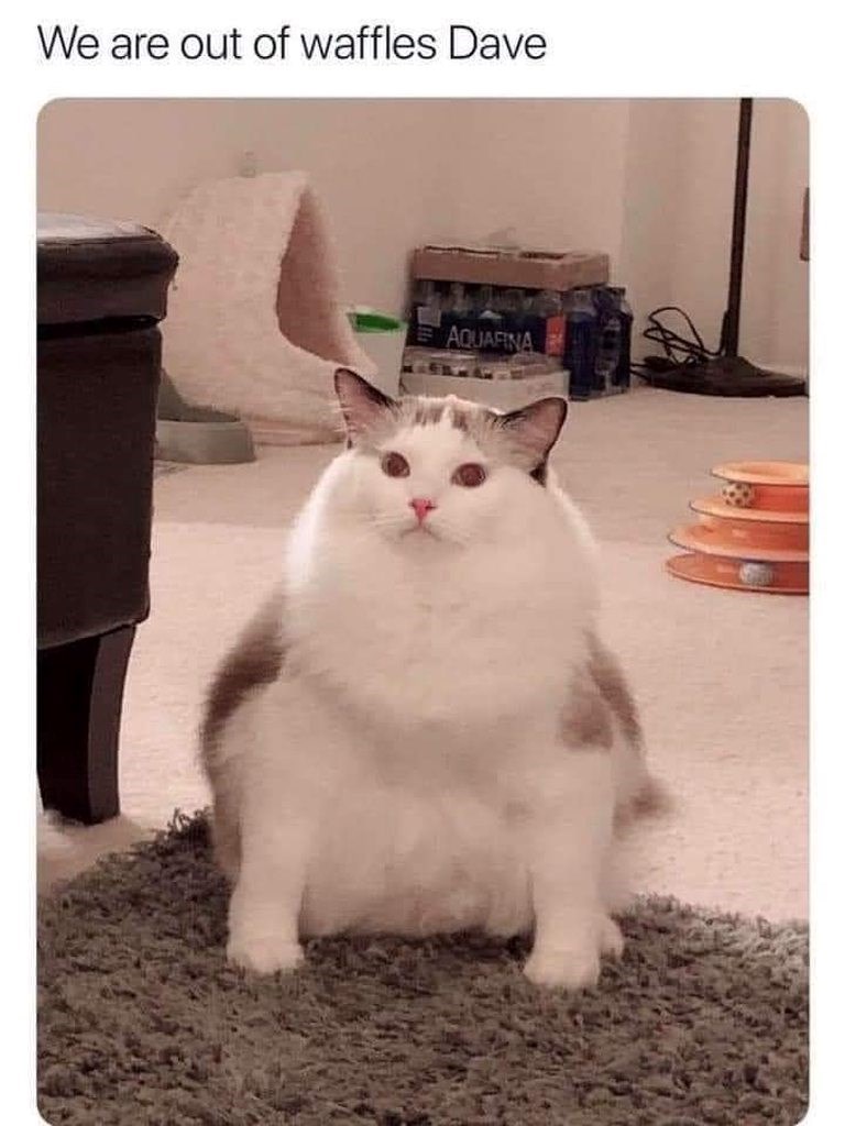 We are out of waffles Dave AQUAFINA