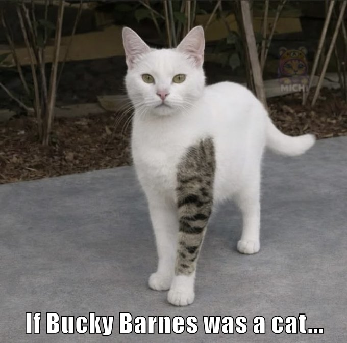 Cheezburger Image 10624093952