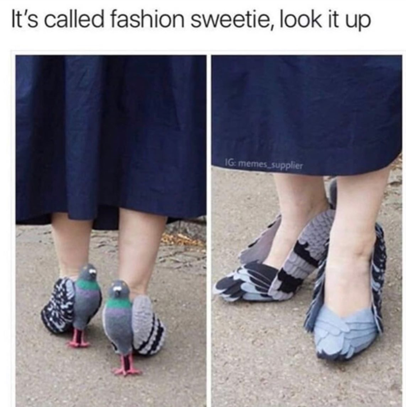 It's called fashion sweetie, look it up IG: memes_supplier