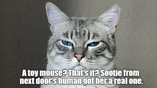 Cheezburger Image 10624102656