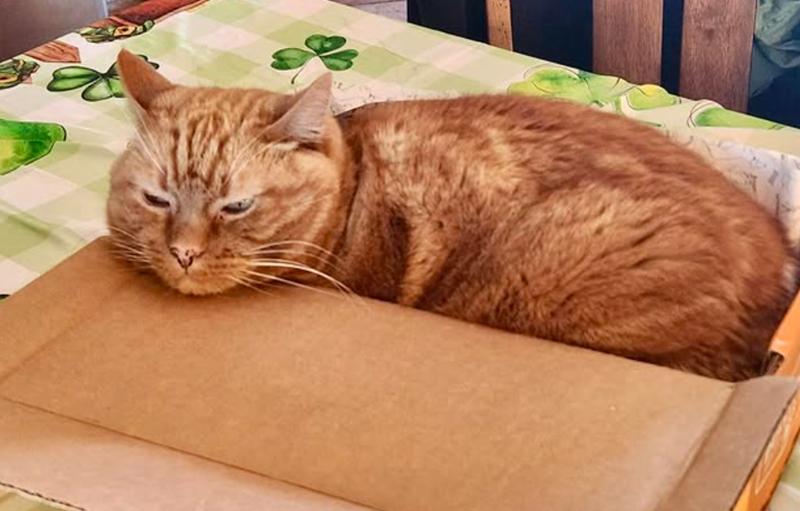 Cheezburger Image 10624111616