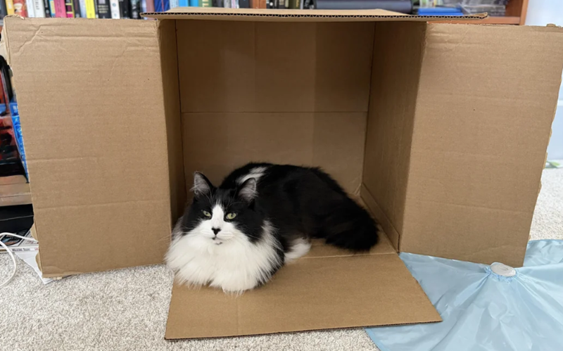 Cheezburger Image 10624112384