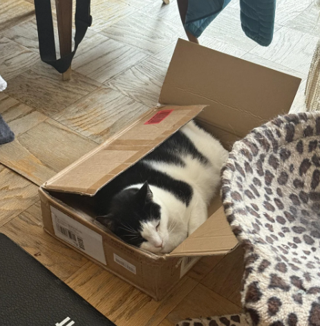 Cheezburger Image 10624113408