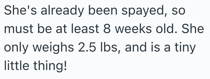 She's already been spayed, so must be at least 8 weeks old. She only weighs 2.5 lbs, and is a tiny little thing!