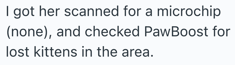 I got her scanned for a microchip (none), and checked Paw Boost for lost kittens in the area.