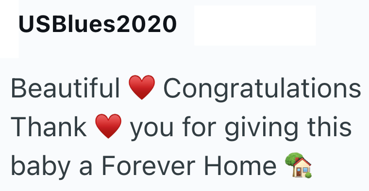 USBlues2020 Beautiful Congratulations Thank you for giving this baby a Forever Home