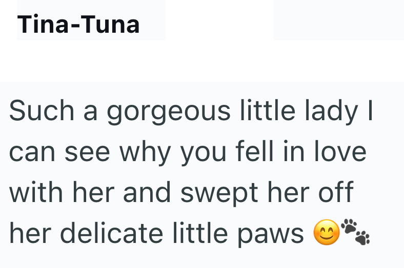 Tina-Tuna Such a gorgeous little lady I can see why you fell in love with her and swept her off her delicate little paws