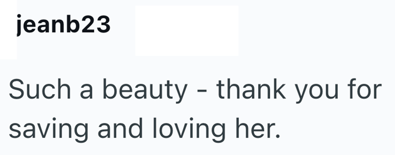 jeanb23 Such a beauty - thank you for saving and loving her.