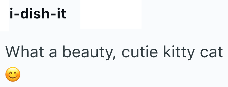 i-dish-it What a beauty, cutie kitty cat