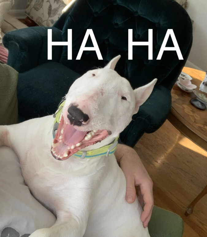 HA HA