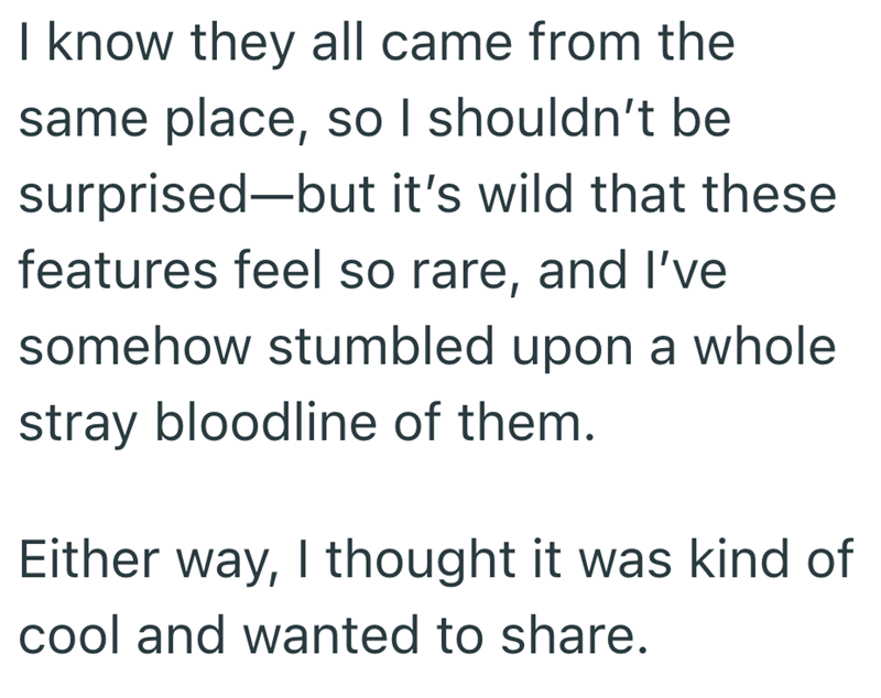 I know they all came from the same place, so I shouldn't be surprised-but it's wild that these features feel so rare, and I've somehow stumbled upon a whole stray bloodline of them. Either way, I thought it was kind of cool and wanted to share.