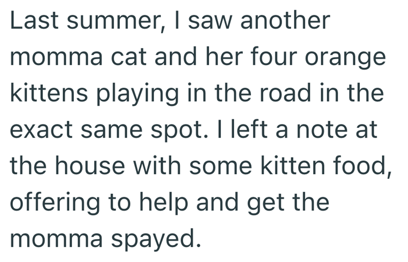 Last summer, I saw another momma cat and her four orange kittens playing in the road in the exact same spot. I left a note at the house with some kitten food, offering to help and get the momma spayed.