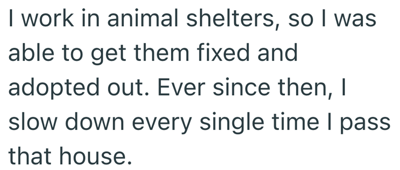 I work in animal shelters, so I was able to get them fixed and adopted out. Ever since then, I slow down every single time I pass that house.