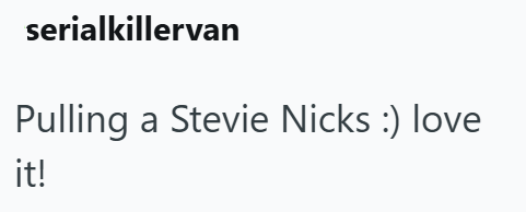 serial killervan Pulling a Stevie Nicks :) love it!