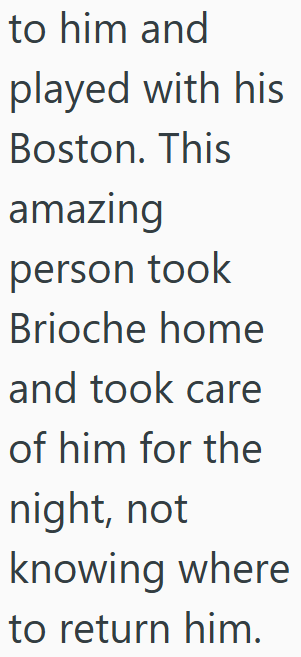 to him and played with his Boston. This amazing person took Brioche home and took care of him for the night, not knowing where to return him.