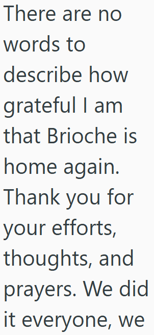 There are no words to describe how grateful I am that Brioche is home again. Thank you for your efforts, thoughts, and prayers. We did it everyone, we