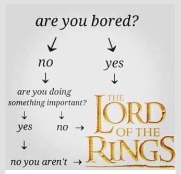 are you bored? по yes ↓ are you doing something important? yes ↓ no-> no you aren't → ↓ THE LORD OF THE RINGS