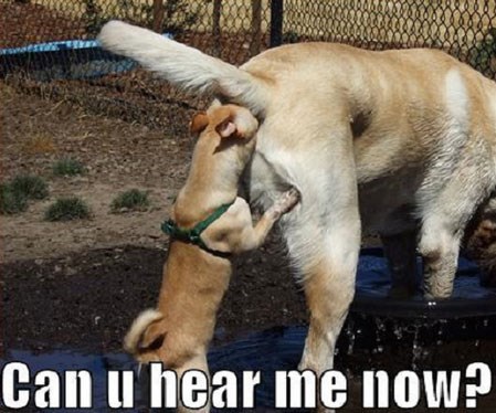 Can u hear me now?
