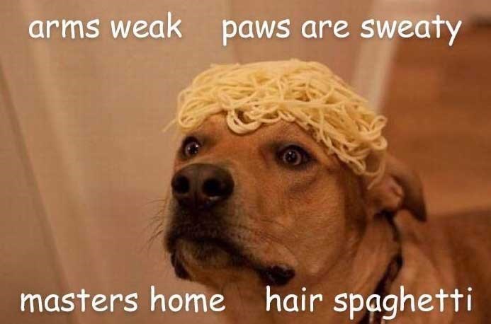arms weak paws are sweaty masters home hair spaghetti