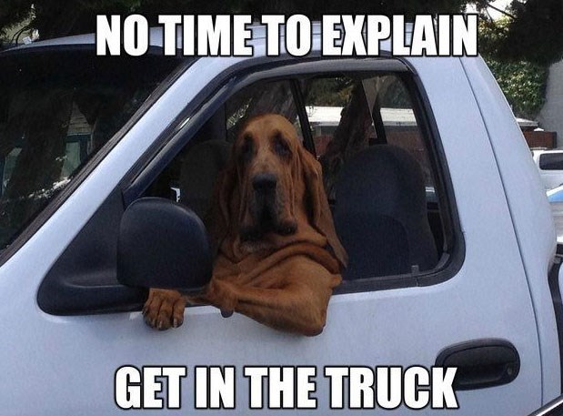 NO TIME TO EXPLAIN GET IN THE TRUCK