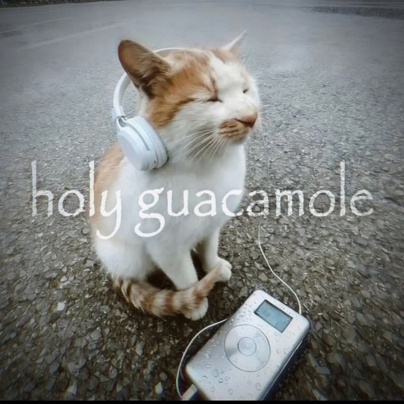 holy guacamole