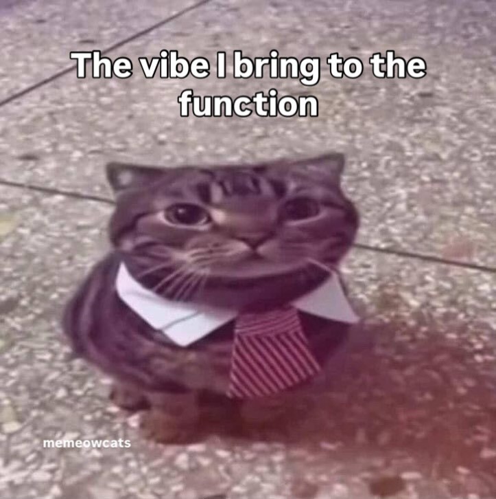 The vibe I bring to the function memeowcats