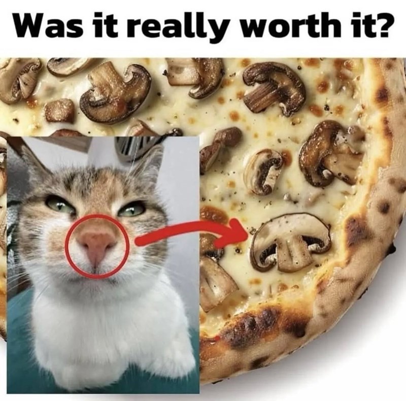 Was it really worth it?