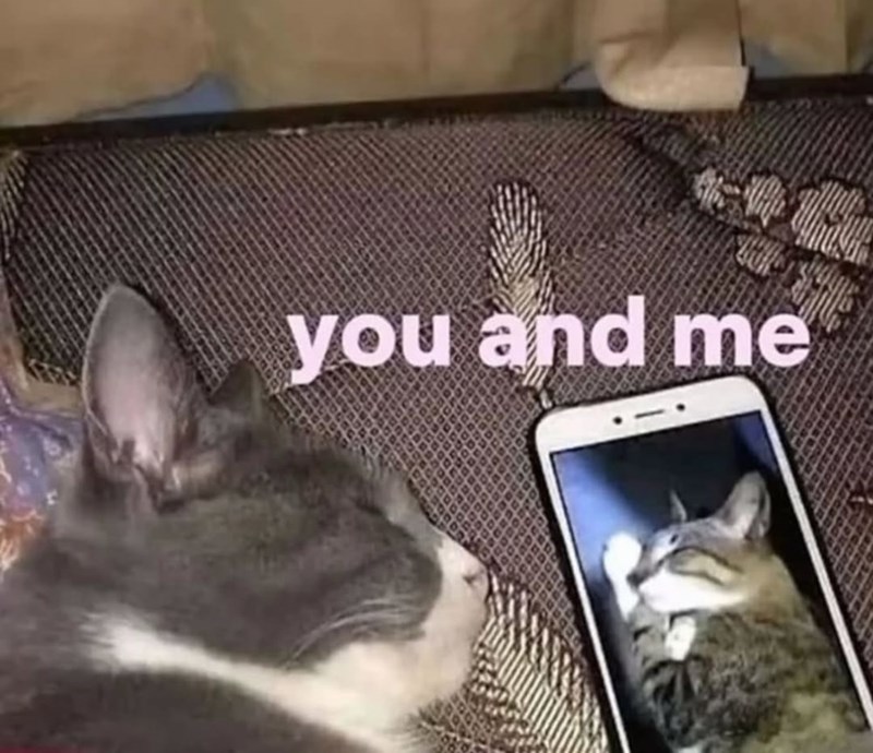 you and me
