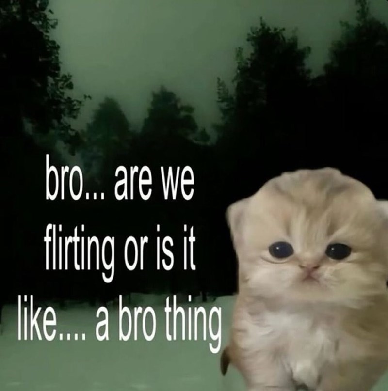 bro... are we flirting or is it like... a bro thing