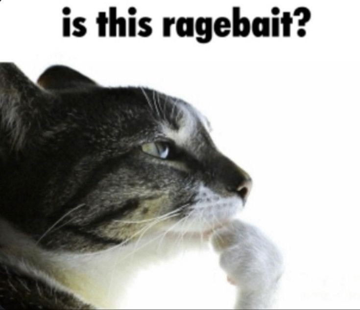 is this ragebait?