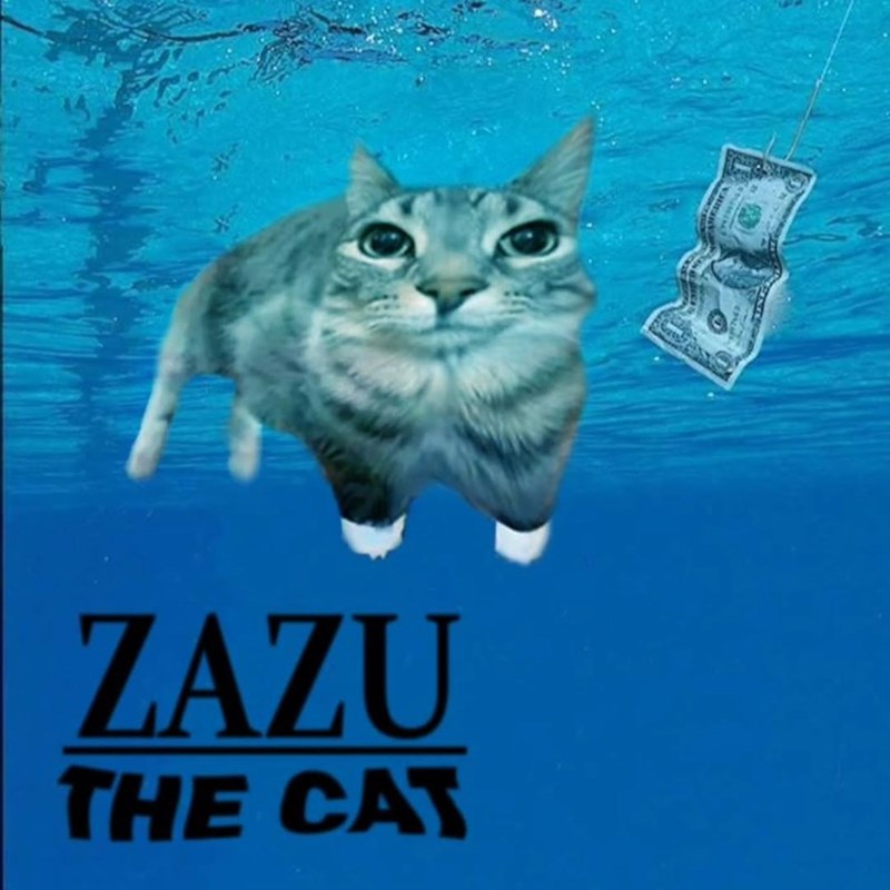 ZAZU THE CAT