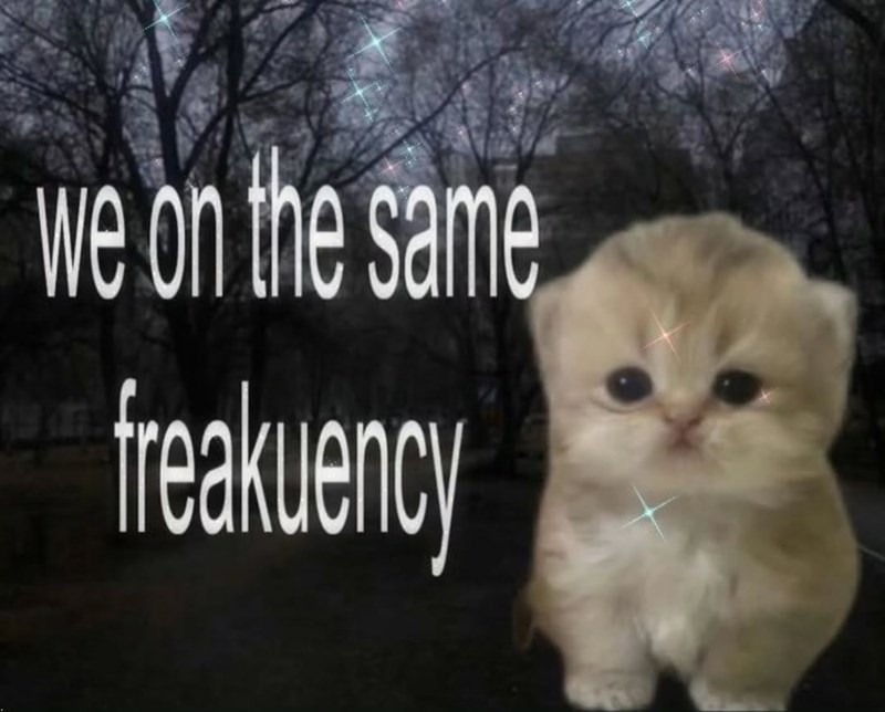 we on the same freakuency