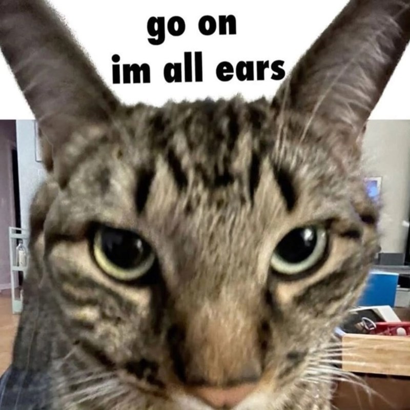 E go on im all ears