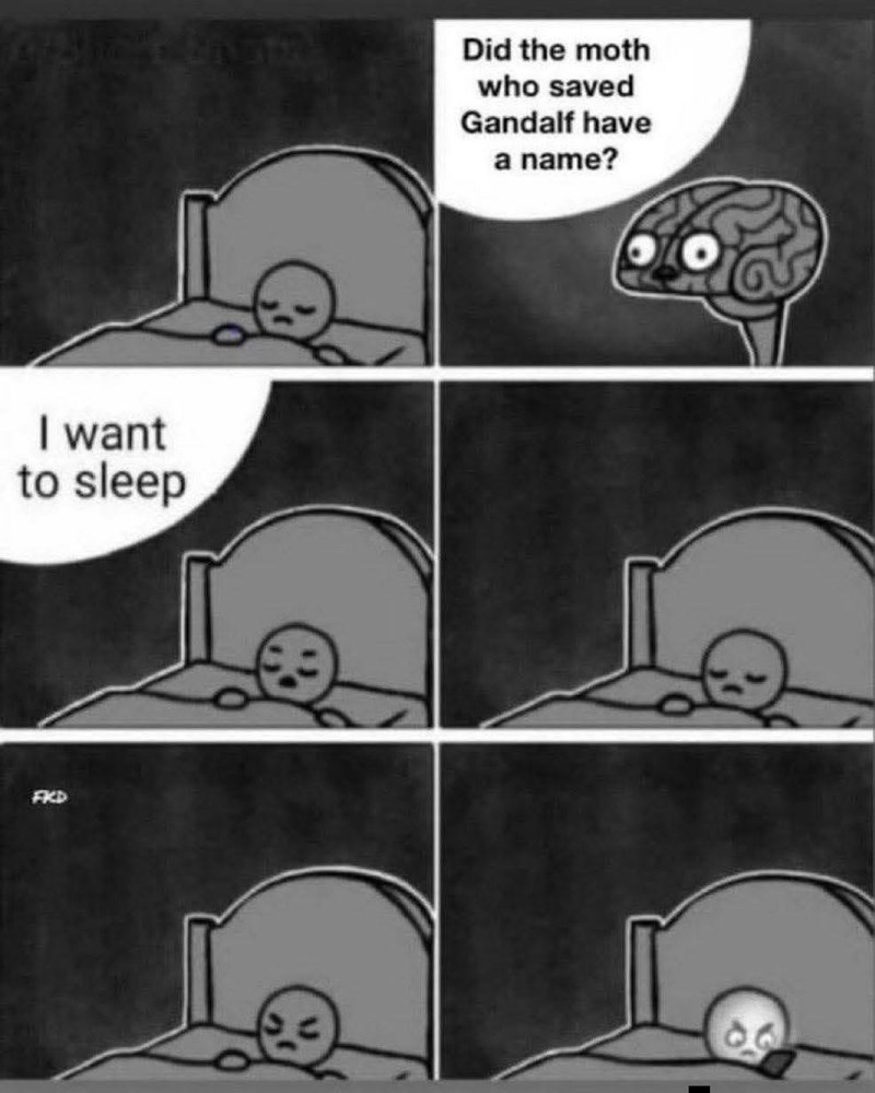 I want to sleep FKD Did the moth who saved Gandalf have a name?