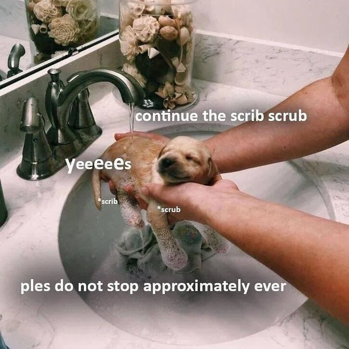 Yeeeees continue the scrib scrub *scrib *scrub ples do not stop approximately ever