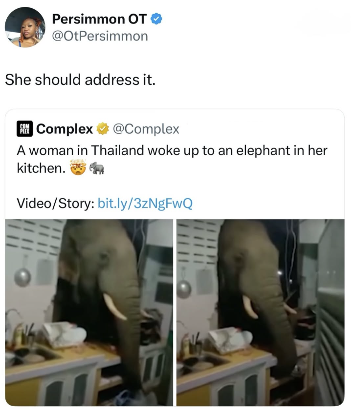 Persimmon OT @OtPersimmon She should address it. COM PLEX Complex @Complex A woman in Thailand woke up to an elephant in her kitchen. Video/Story: bit.ly/3zNgFwQ