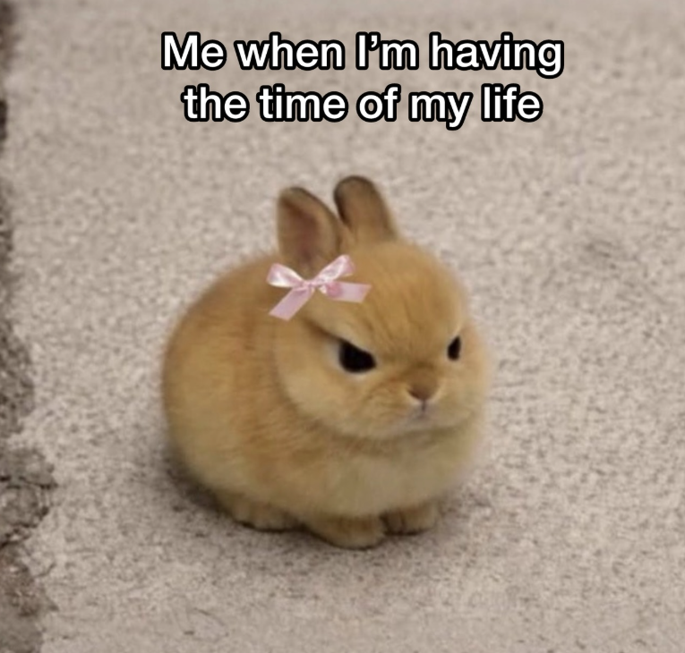 Me when I'm having the time of my life